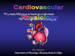 (1). heart rate ↑→cardiac output