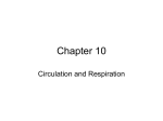 Chapter 16 - Cloudfront.net