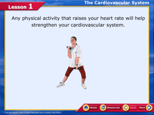 Lesson 1 cardiovascular system