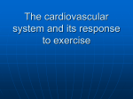 The cardiovascular system and its response to exercise