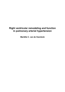 Right ventricular remodeling and function in pulmonary arterial hypertension