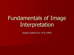 Fundamentals of Image Interpretation