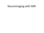 MRINeuroanatomy