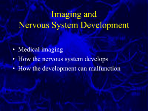 Lecture 2 Imaging, Brain Development