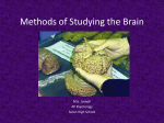 Methods of Studying the Brain