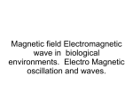 Magnetic field Electromagnetic wave in biological environments
