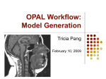 OPAL Workflow & Model Generation