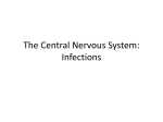 12-11-13 The Central Nervous System fections