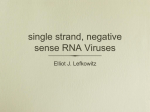 Negative Sense RNA Viruses