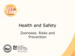 Health and Safety: Zoonoses Risk and Prevention