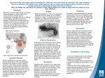 Ebola Virus Disease (Poster)