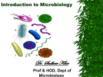 Introduction to Microbiology