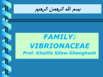 Lecture 21-Vibrio cholerae