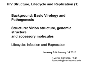 HIV Structure Virion