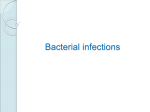 bacterial