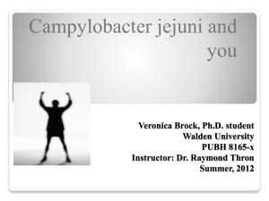 C jejuni and You - Environmental Public Health Today