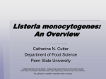 Listeria monocytogenes : An Overview