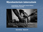 Stages of Tuberculosis