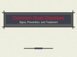Goat Diseases - Tarleton State University