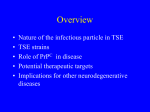 Phenotypic diversity in acquired human prion diseases