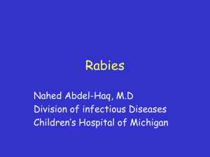 Rabies - Home - Children's Hospital of Michigan