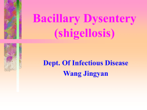 Bacillary Dysentery (shigellosis)