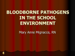 BLOODBORNE PATHOGENS IN THE SCHOOL ENVIRONMENT …