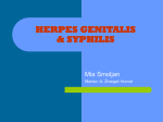 Herpes genitalis & Syphilis