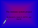 The immune system project - Town of Mansfield, Connecticut