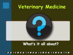 Veterinary Careers