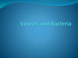 Viruses and Bacteria - Welcome to Mrs. Palmiter's World of