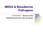 MRSA & Bloodborne Pathogens