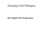 Isolation of Emerging Viruses