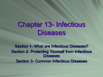 Chapter 13- Infectious Diseases