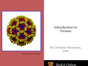 Infectious diseases DNA viruses