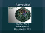 CS11 Group 11 Case Study Parvovirus powerpoint