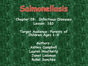 Salmonellosis PowerPoint Presentation