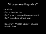 Viruses - North Mac Schools