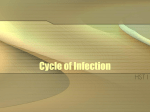 Infection Control Terms