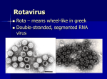 Rotavirus