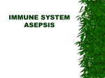 IMMUNE SYSTEM