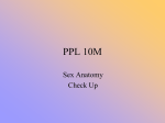 PPL 10M Sex Anatomy Check Up