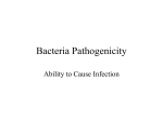 Bacteria & Disease