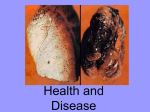 31 Health and Disease