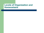 Structural Levels of Organization