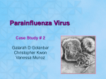 Parainfluenza virus case study 2 pp - Cal State LA