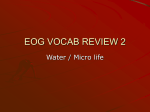 EOG VOCAB REVIEW 2