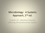 Infections of the Genitourinary System