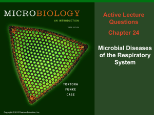 Chapter 24 Active Lecture Questions