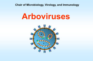 Arboviruses